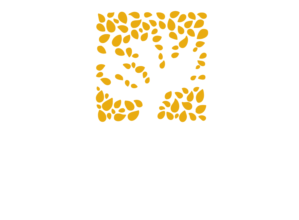 barakah charity canada