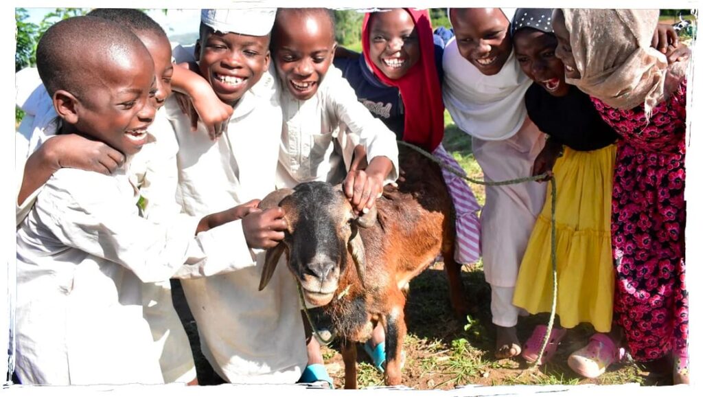 Enfants souriants jouant avec une chèvre en Afrique lors d'un projet de sacrifice Aqiqa.