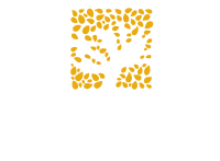 barakah charity canada